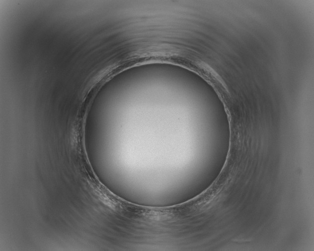 X0000073850874200608171030