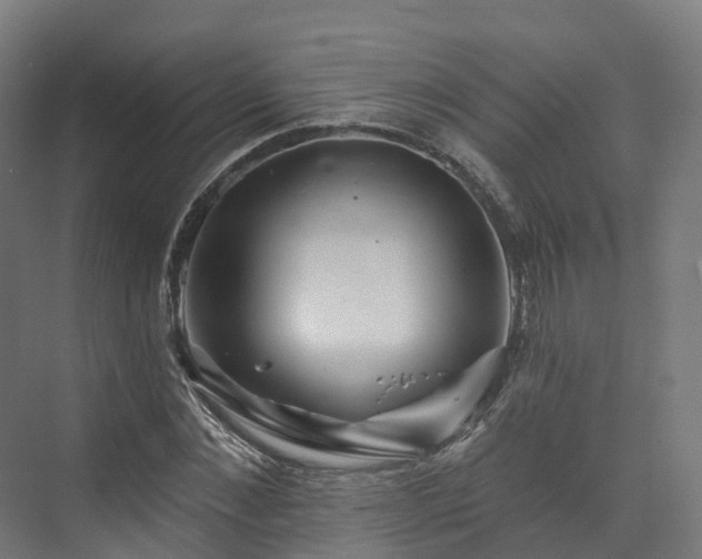 X0000073850876200608171030