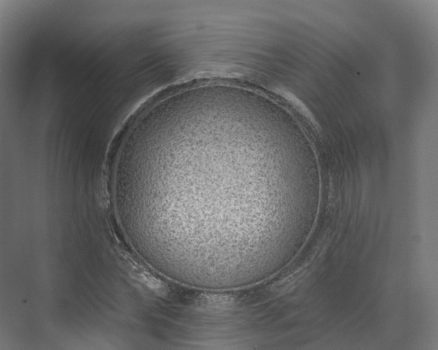 X0000073850878200608171030