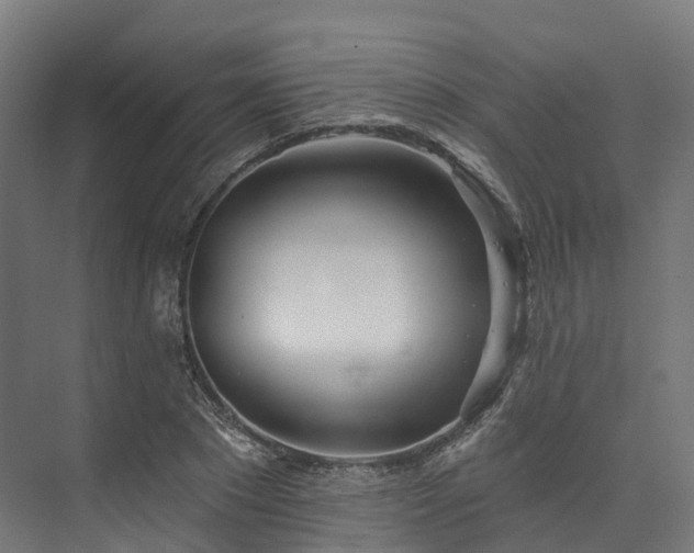 X0000073850881200608171030