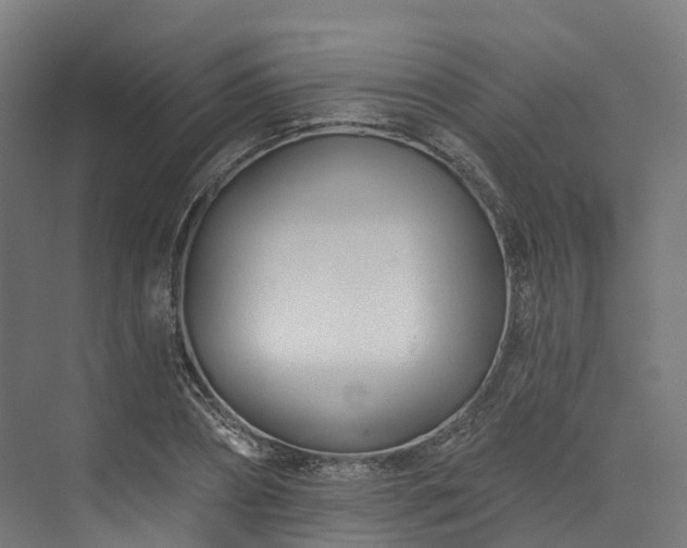 X0000073850882200608171030