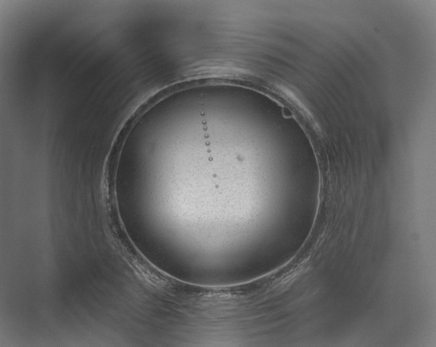 X0000073850883200608171030