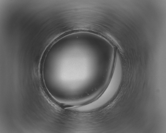 X0000073850884200608171030