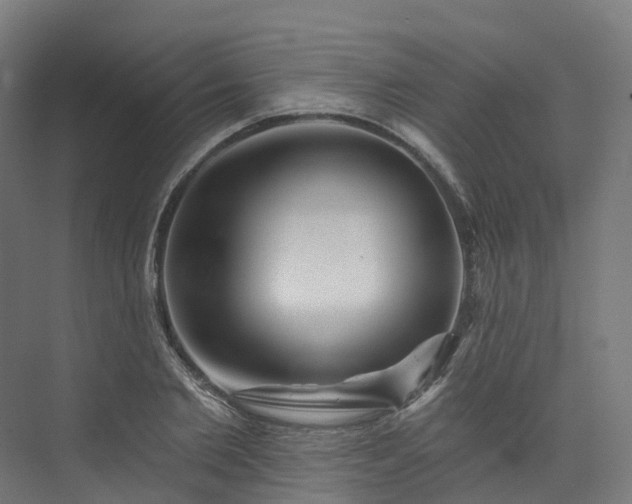 X0000073850885200608171030