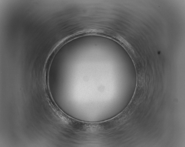 X0000073850886200608171030