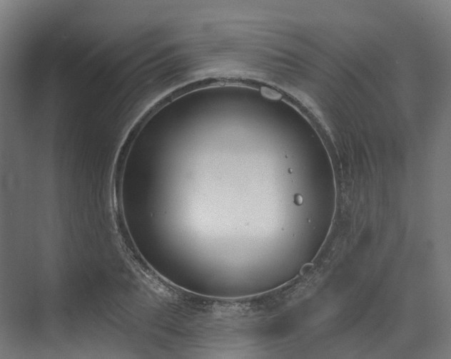 X0000073850887200608171030