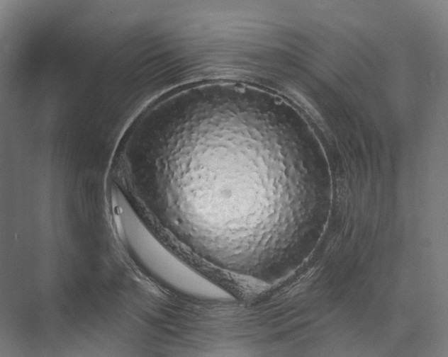 X0000073850891200608171030