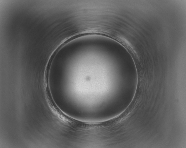 X0000073850892200608171030