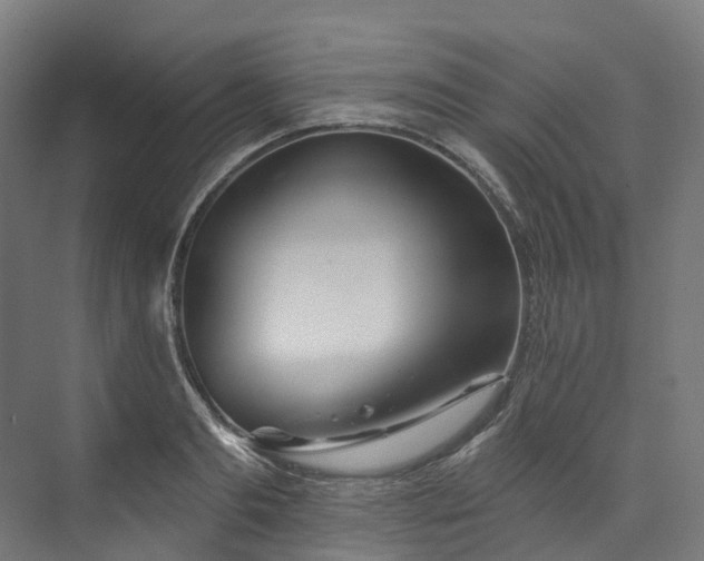 X0000073850893200608171030