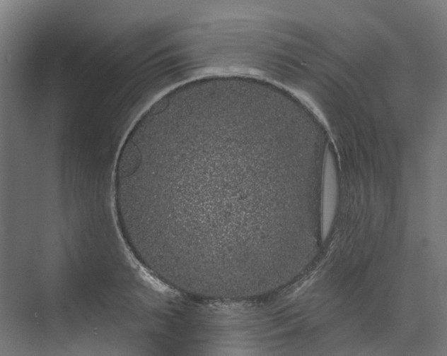 X0000073850895200608171030