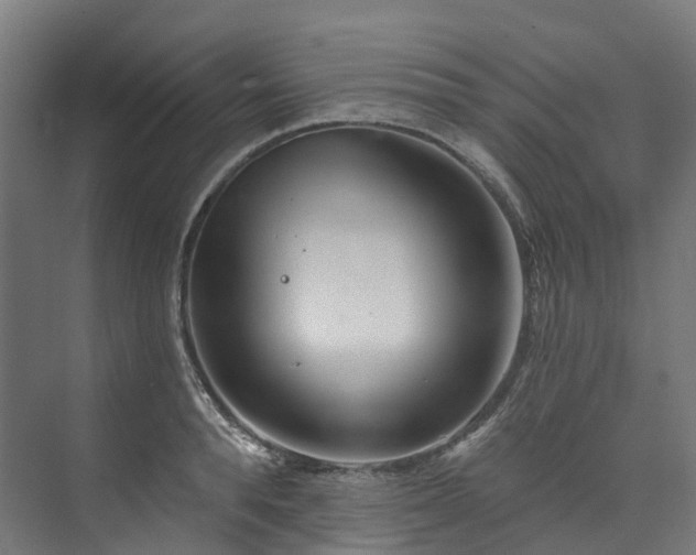 X0000073850896200608171030