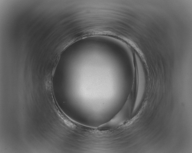 X0000073850897200608171030