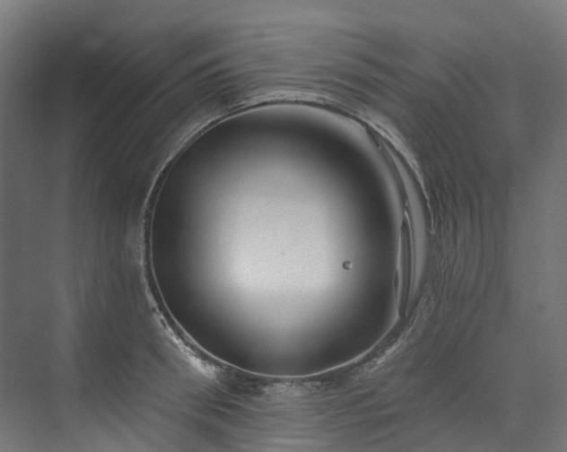 X0000073850898200608171030