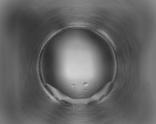 X0000073850901200608171029