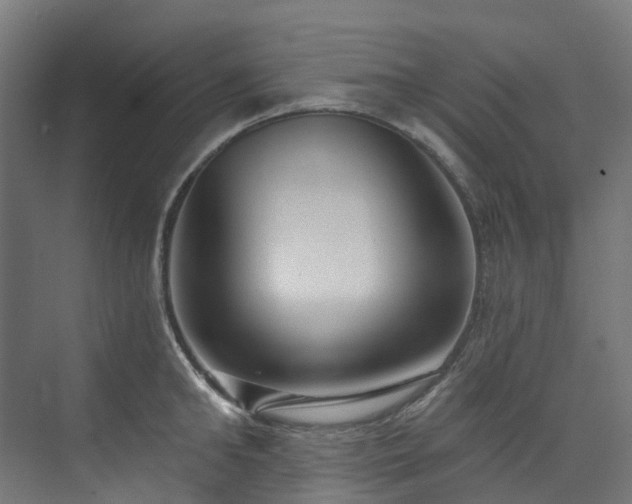 X0000073850902200608171029