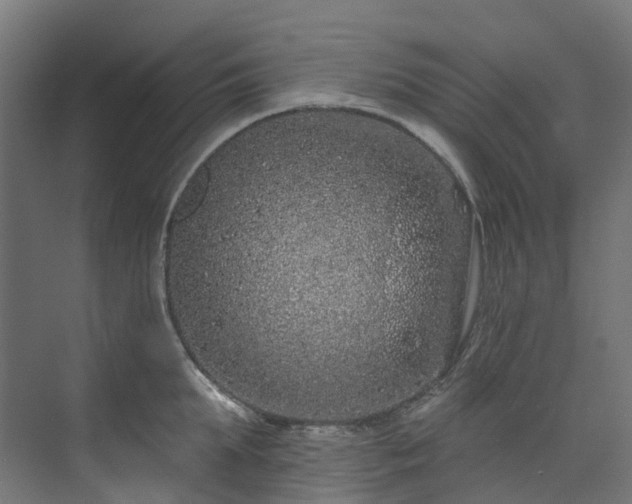 X0000073850903200608171029