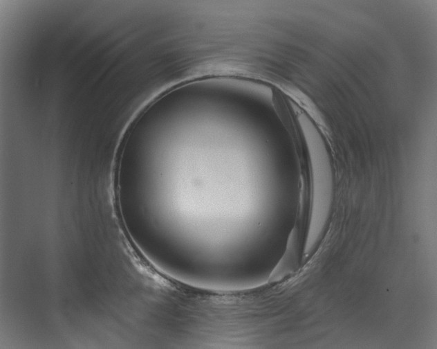 X0000073850904200608171029