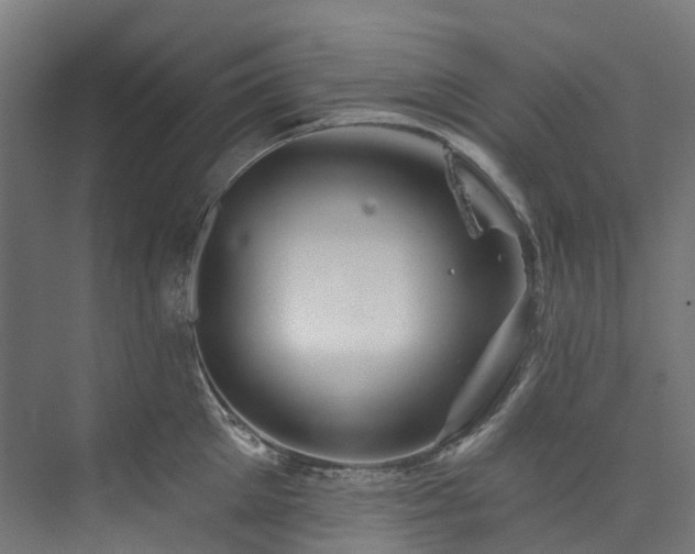 X0000073850905200608171029