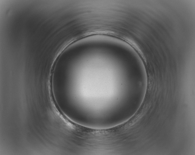 X0000073850906200608171029