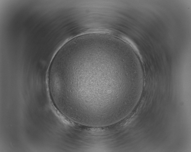 X0000073850907200608171029