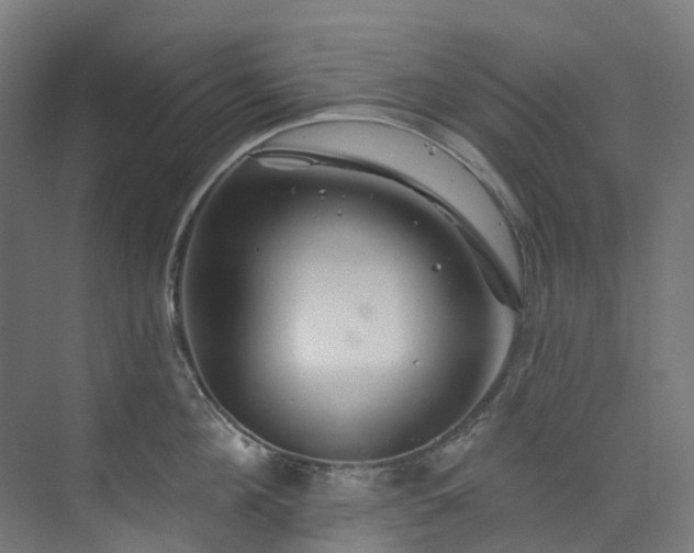 X0000073850908200608171029