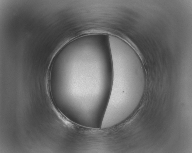 X0000073850909200608171029