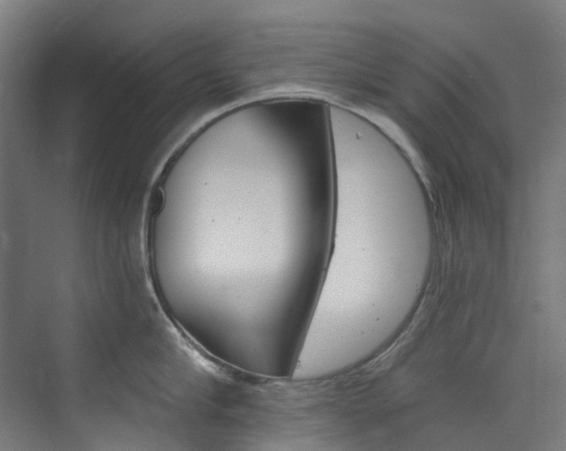 X0000073850910200608171029