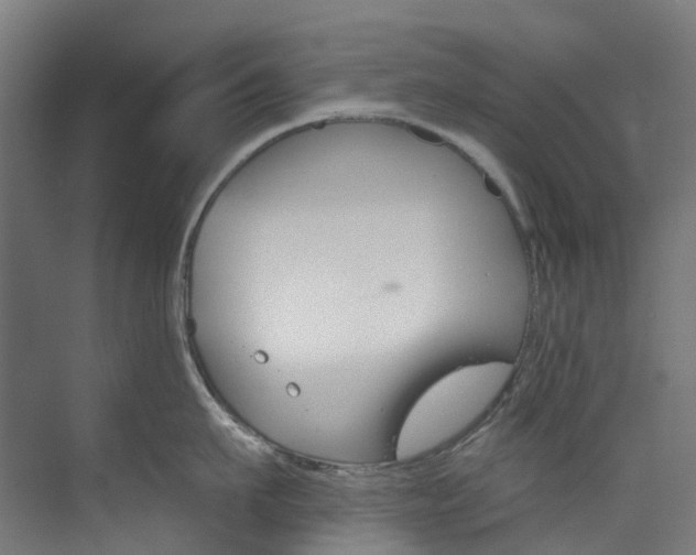 X0000073850911200608171029