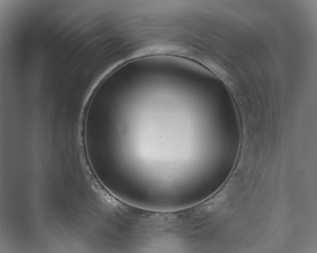 X0000073850912200608171029