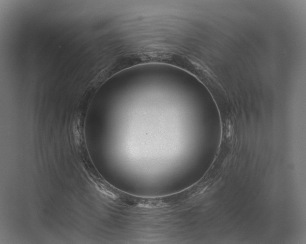 X0000073850915200608171029