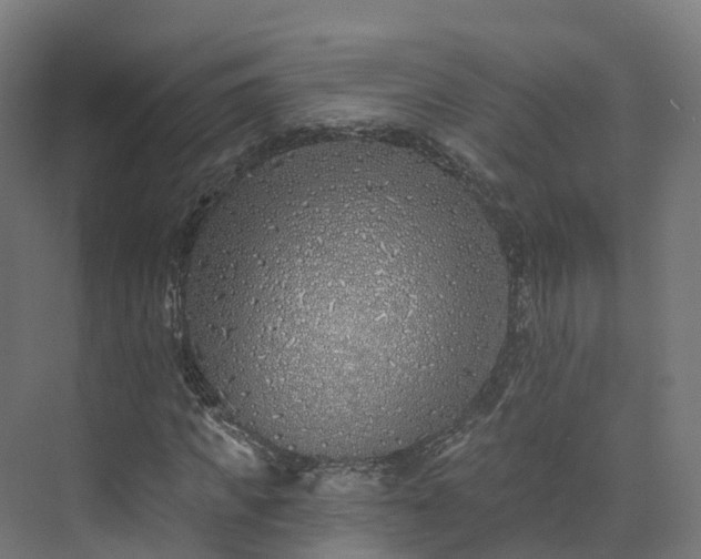 X0000073850917200608171029