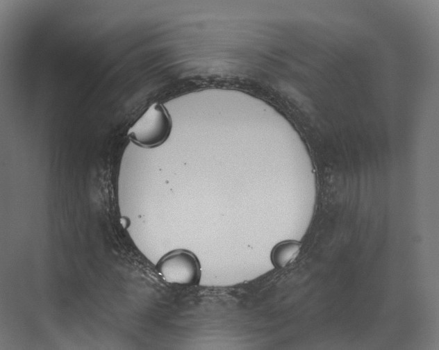 X0000073850918200608171029