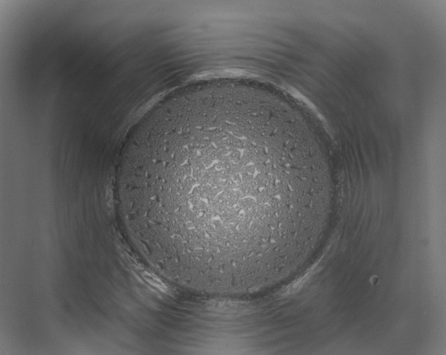 X0000073850921200608171029