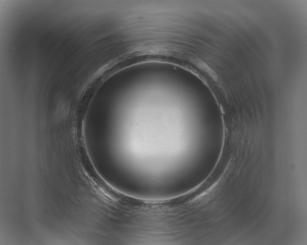 X0000073850922200608171029