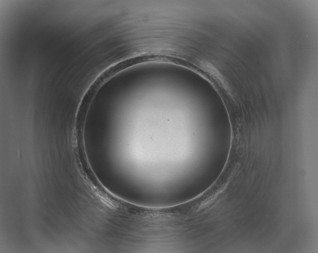 X0000073850924200608171029