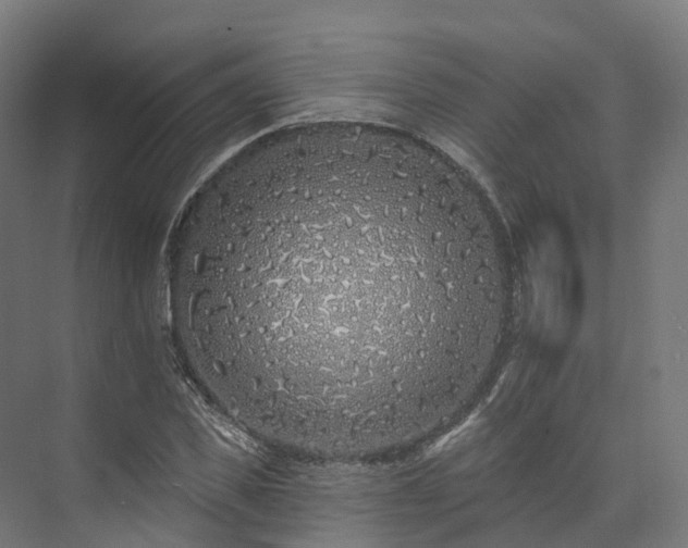 X0000073850925200608171029