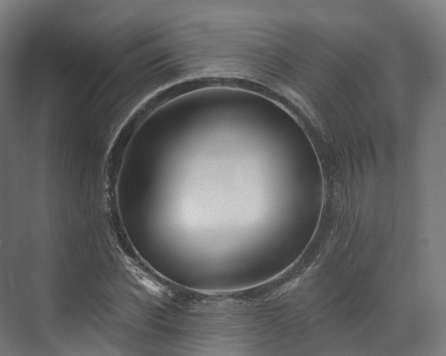 X0000073850926200608171029