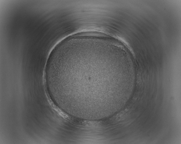 X0000073850928200608171029