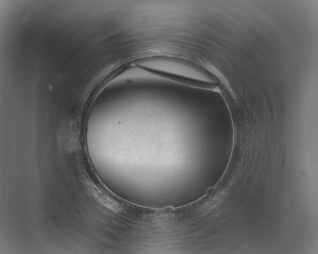 X0000073850930200608171029