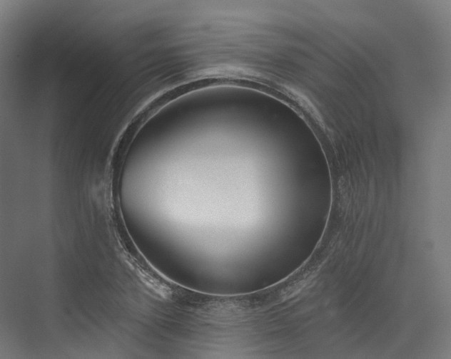 X0000073850931200608171029