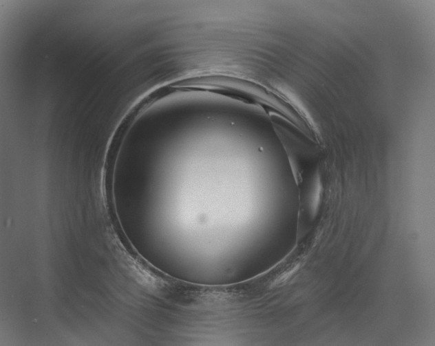 X0000073850932200608171029