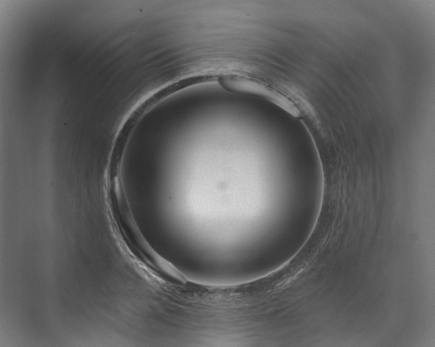 X0000073850936200608171029