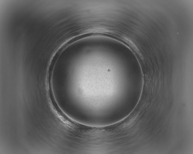 X0000073850939200608171029