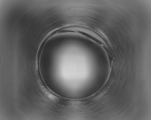 X0000073850940200608171029