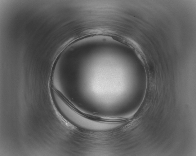 X0000073850946200608171029