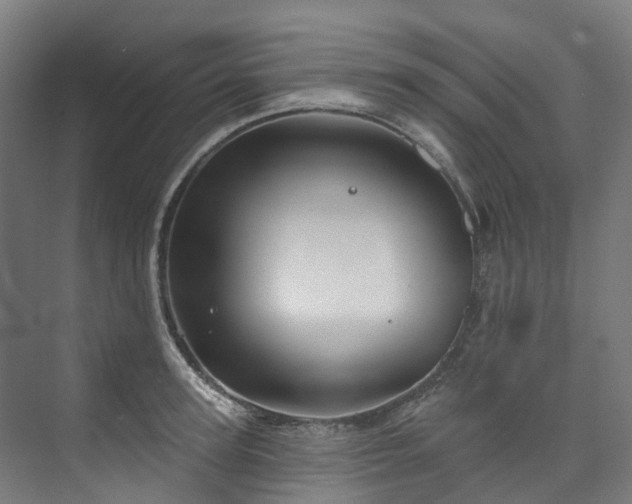 X0000073850947200608171029