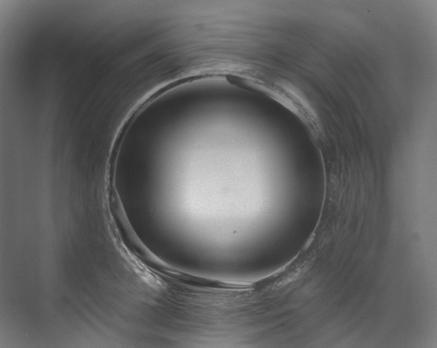 X0000073850948200608171029