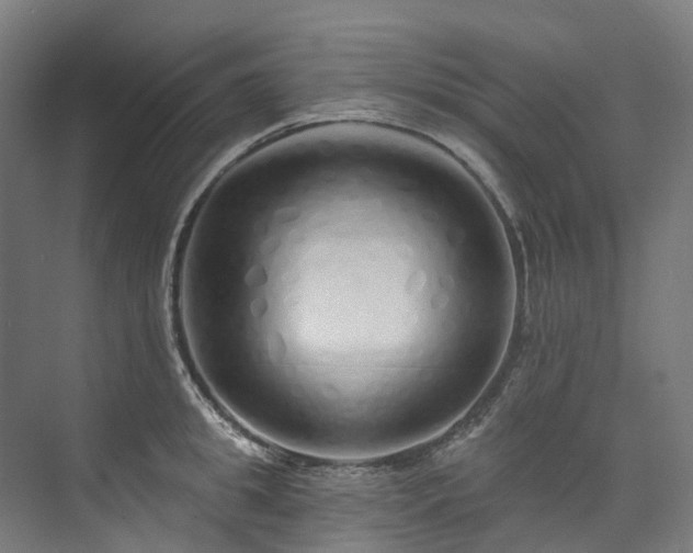 X0000073850949200608171029