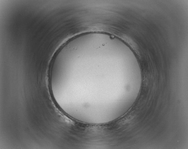 X0000073850950200608171029