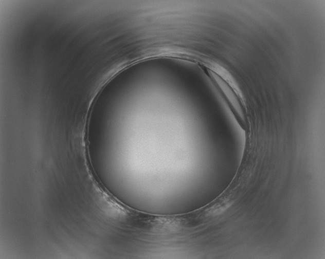 X0000073850954200608171029